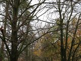 img 6704