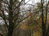 img 6705
