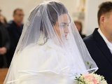 IMG 6050