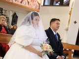 IMG 6075